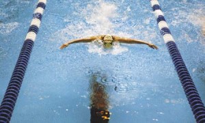 A Yale swimmer advances down the lane with the butterfly stroke against Brown Feb. 6 at the Kiphuth Exhibition Pool. The Bulldogs travels to Harvard to take part in the annual Ivy Championship meet where they will face Harvard and Princeton -- both teams to which the Elis lost earlier this winter.