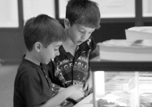 Local children participate in the Peabody Museum of Natural History’s Identification Day yesterday. The event allowed both children and adults to have up-close encounters with parts of the museum’s collections not normally on display, and to bring in their own items to be examined by the museum’s staff. Objects brought in included rocks, bones, leaves, meteorites and even a few living creatures.
