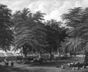 Isaac Mendes Belisario’s “View of Kelly’s Estate,” above, is among the works displayed at the Art & Emancipation exhibit until Dec. 30.