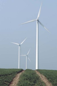 Windmills like these could make an appearance in the New Haven area if the Board of Alderman decides to support a pilot wind-energy project.