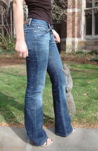 Lucky, one of the many squirrels who makes her home on the Yale campus, climbs up a Yale sophomore's leg. Lucky often spends time in her bedroom and suite.