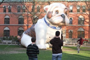 Prefrosh snap pictures and gaze at the inflatable bulldog on Old Campus. Many said they were spending little during Bulldog Days as there was no reason to.