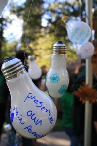 One of the more popular displays at Greenfest was the iron-and-lightbulb tree, on which students wrote environmental pleas. Nevertheless some students questioned the effectiveness of the event.