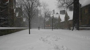 Elis attempting to return to the Elm City this weekend faced travel delays as snow blanketed the Yale campus.