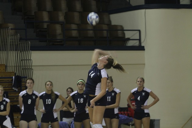 Setter Kendall Polan ’14 has 28 kills this season. She leads the Bulldogs in assists with 310.
