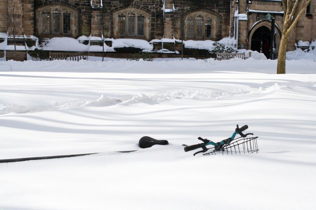 STANDALONEgreenfield_snow-1