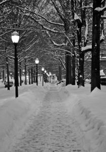 New Haven’s snow-removal budget has been strained by recent snowfall — the city has already spent $622,000, easily exceeding the $500,000 originally allocated for the purpose.