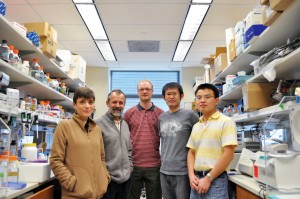 Cell biology professor Jorge Galan and his team determined how salmonella wrecks havoc on the human body.