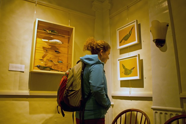 “James Prosek: Suriname” opened at the Whitney Humanities Center on Monday; it will be up until June 24.