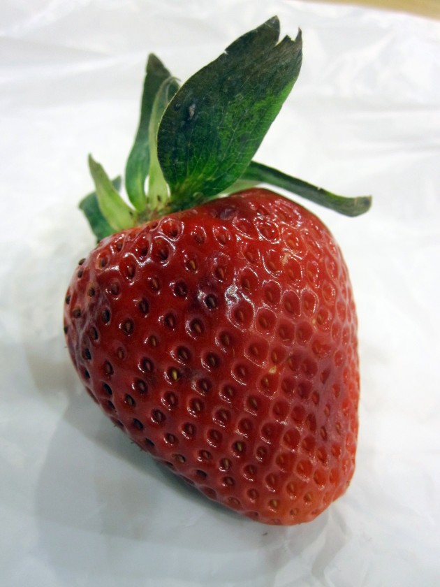 hanle_strawberry-2