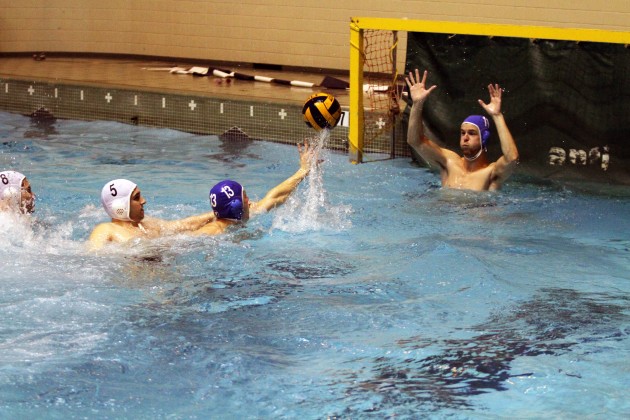 The men’s club water polo team has competed in the national championships for six out of the last nine years. for five players on the team, this year is the last chance for victory.