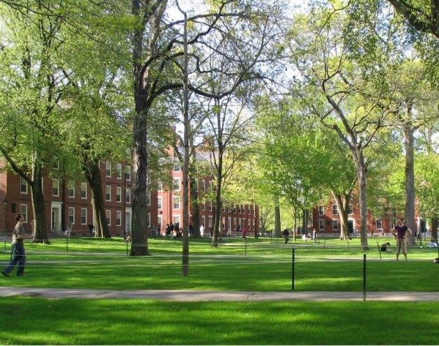 The U.S. Department of Education is looking into racial discrimination in admissions at Harvard and Princeton.