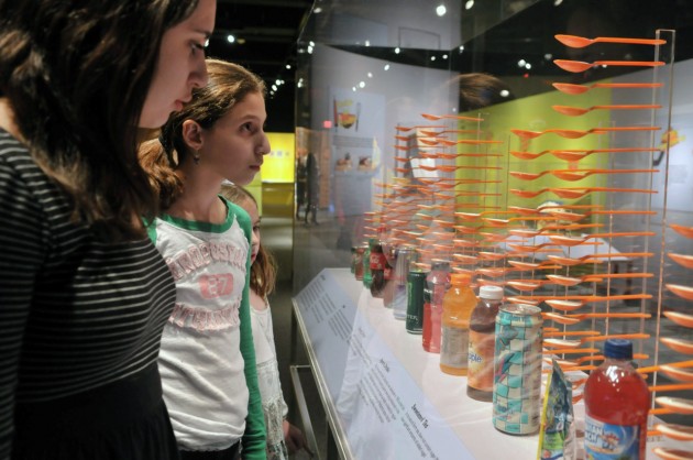 “Big Food: Health Culture and the Evolution of Eating,” a new exhibit at the Peabody Museum of Natural History, includes interactive features and displays about the history, science, and culture of food.