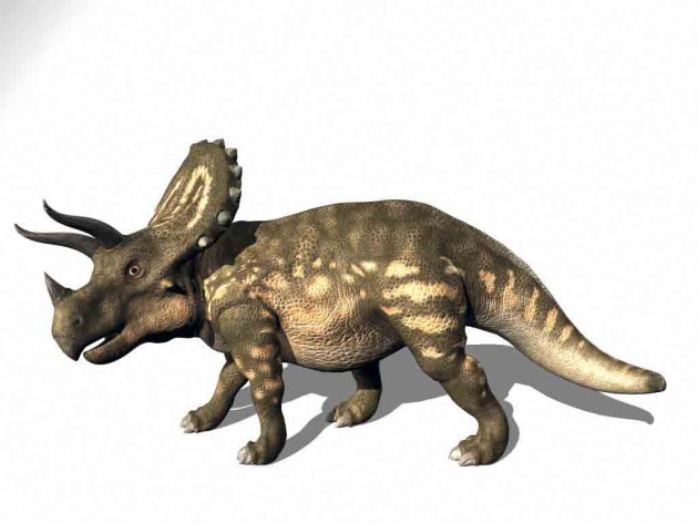 triceratops_whitebg