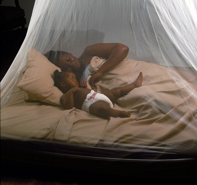 According to Deputy U.S. Global Malaria Coordinator Bernard Nahlen, international aid can hep prevent many malaria deaths.