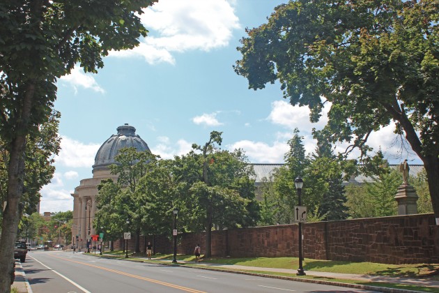 A Yale proposal to replace maple trees on Prospect Street has caused concern among local residents.