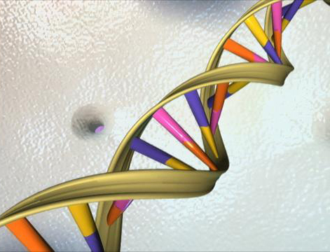 Non-coding regions of the human genome play a larger role in cell function than previously thought, scientists from Yale and other schools have shown.