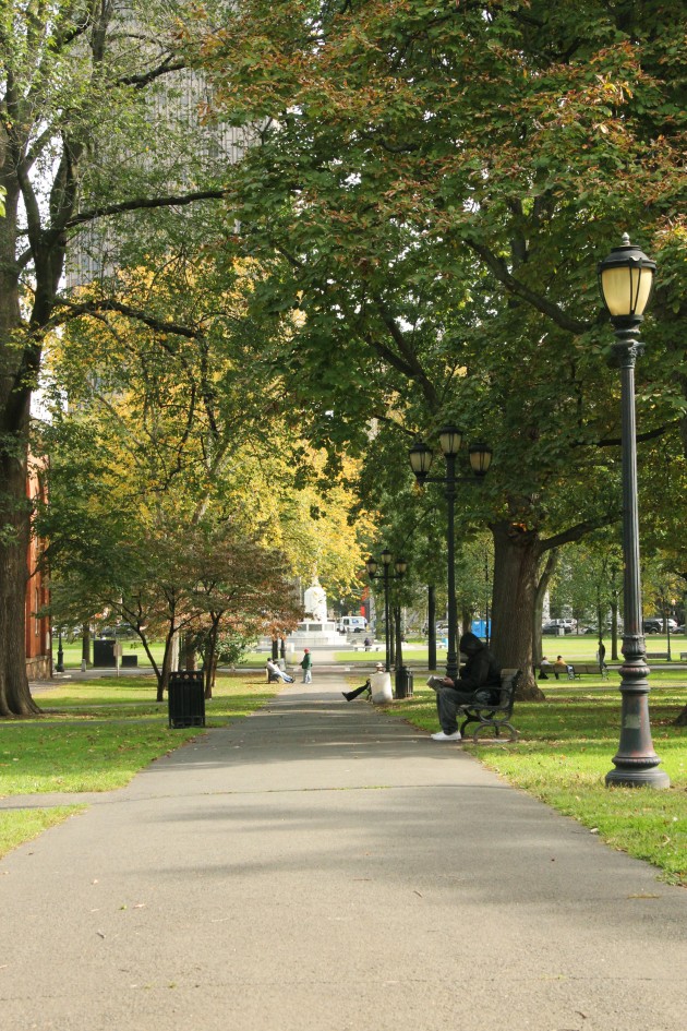 The Project for Public Spaces has been tasked with improving the New Haven Green and finding new uses for the public space. Plans to be included in their proposal include suggestions for activities and varied infrastructure improvements.