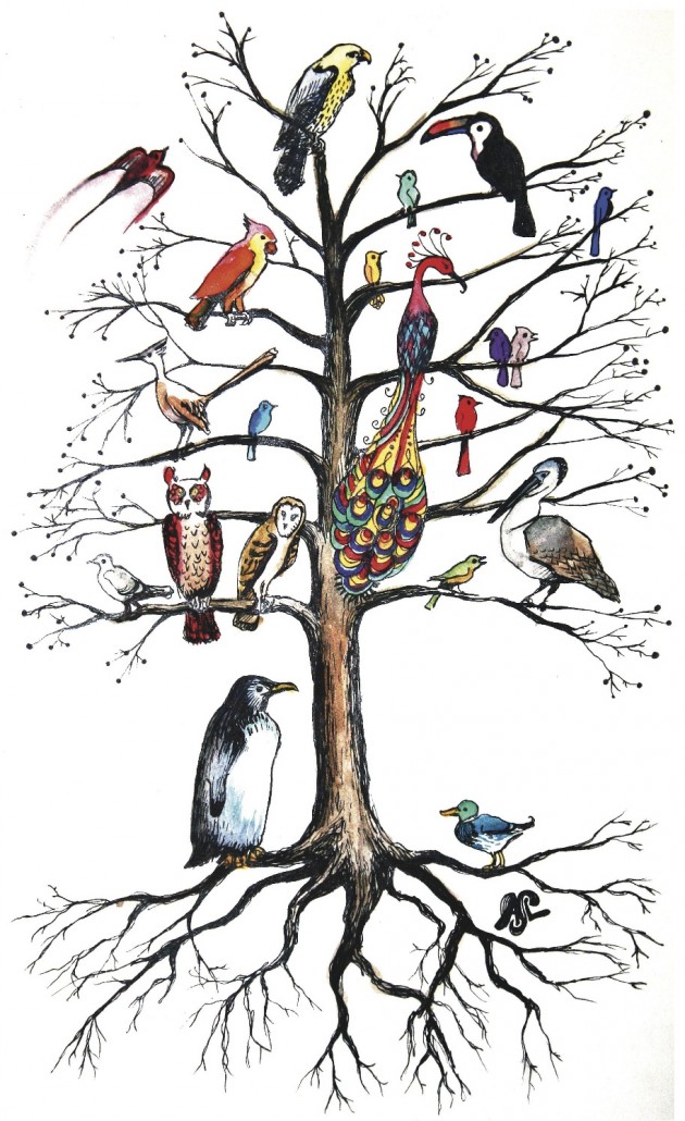 Birds_1