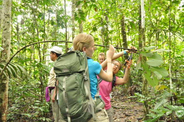 Students in “Rainforest Expedition and Laboratory” gather plant samples in rainforests.