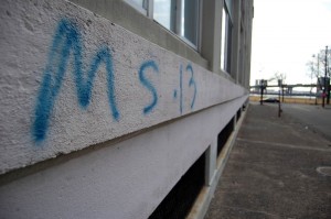 Although police doubt the presence of the El Salvadoran gang in the New Haven area, some buildings in Fair Haven have been tagged with graffiti bearing the gang's name.