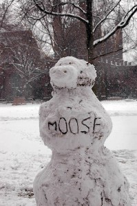 And at Yale, inclement weather brought few consequences. A handful of professors canceled their classes and sections, and Undergraduate Career Services canceled its afternoon events.