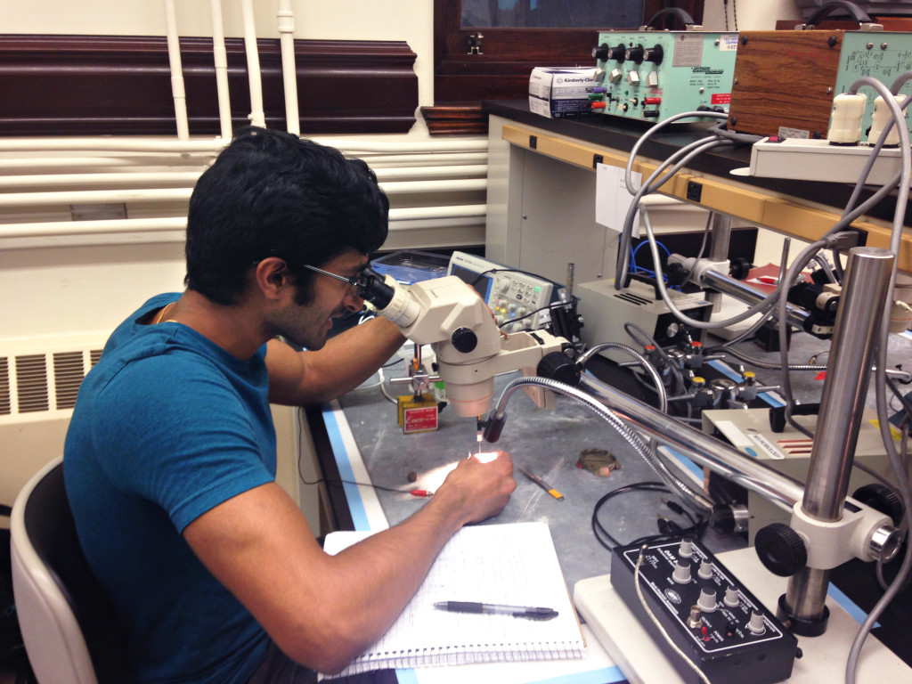 Scarce STEM grants imperil research jobs Yale Daily News