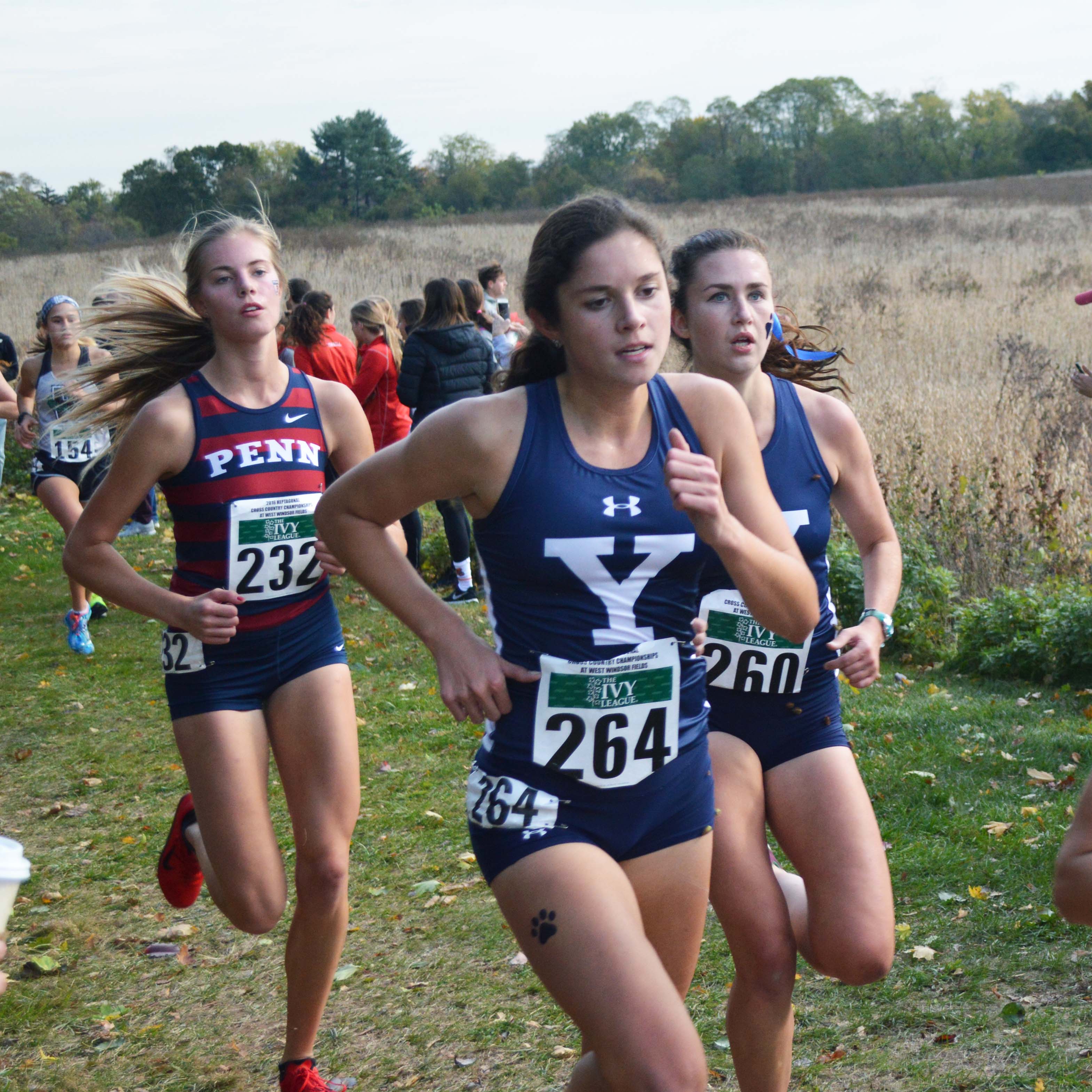 Yale Bulldog (Women)