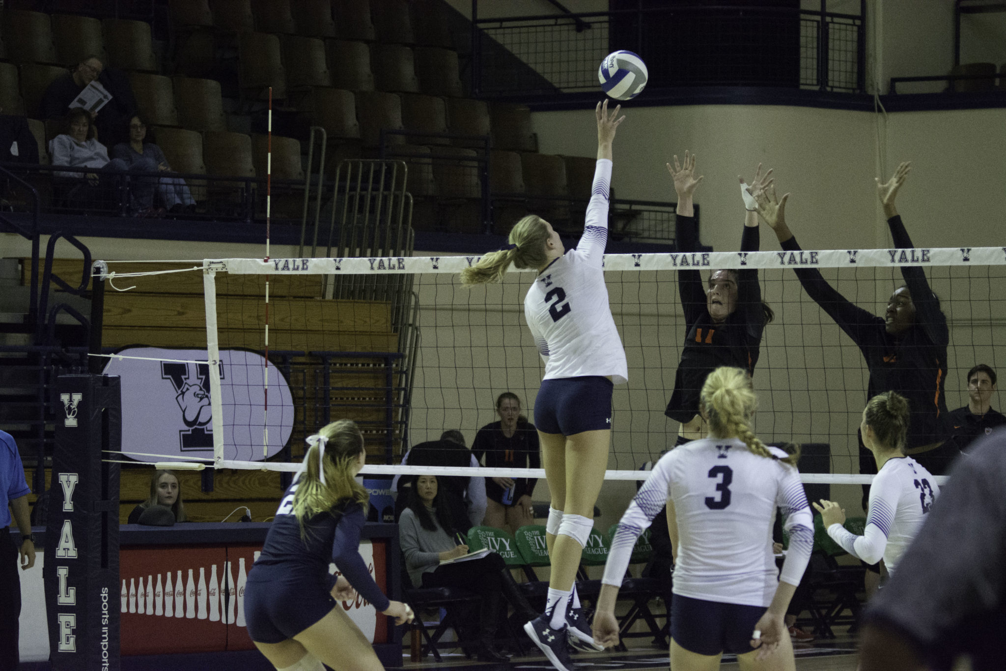 VOLLEYBALL: Yale falls in Ivy playoff - Yale Daily News