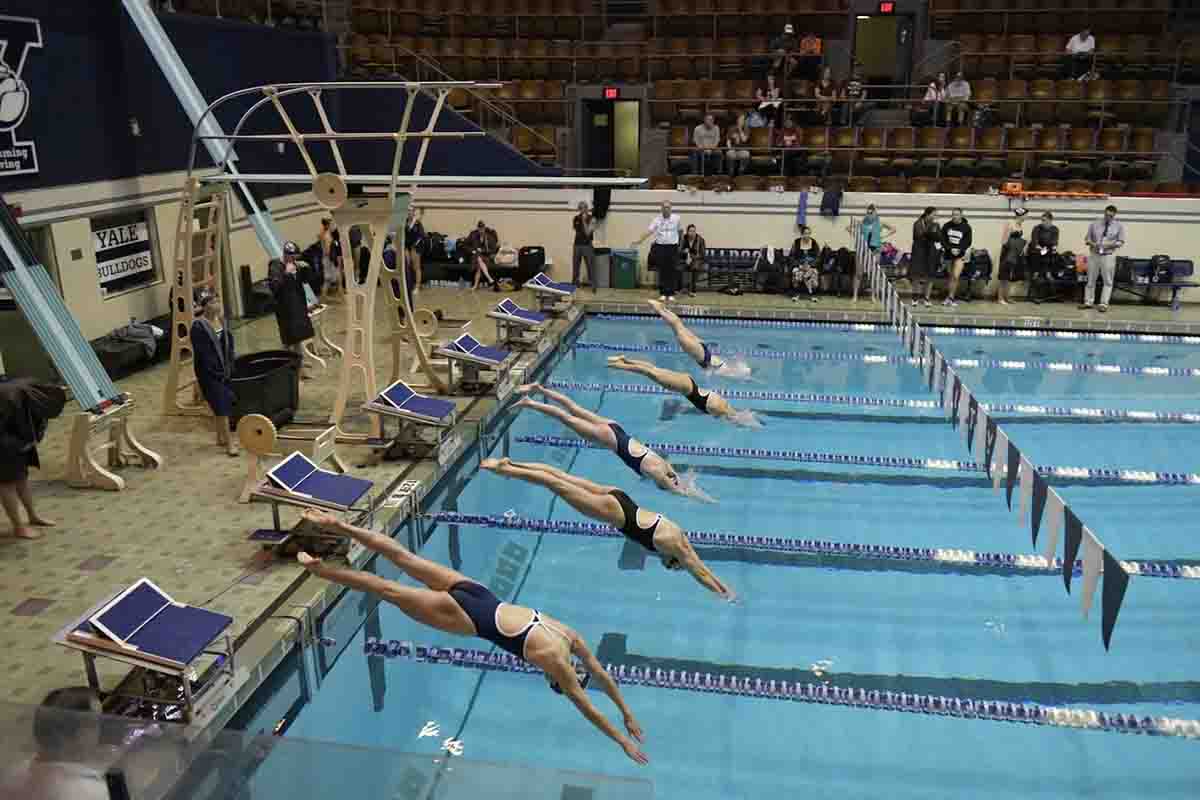 Womens Swimming And Diving Yale Remains Unbeaten Yale Daily News