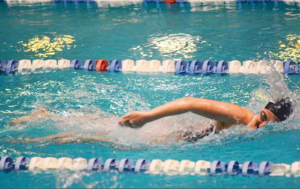 Women S Swimming Diving Elis Seek Title Repeat Yale Daily News