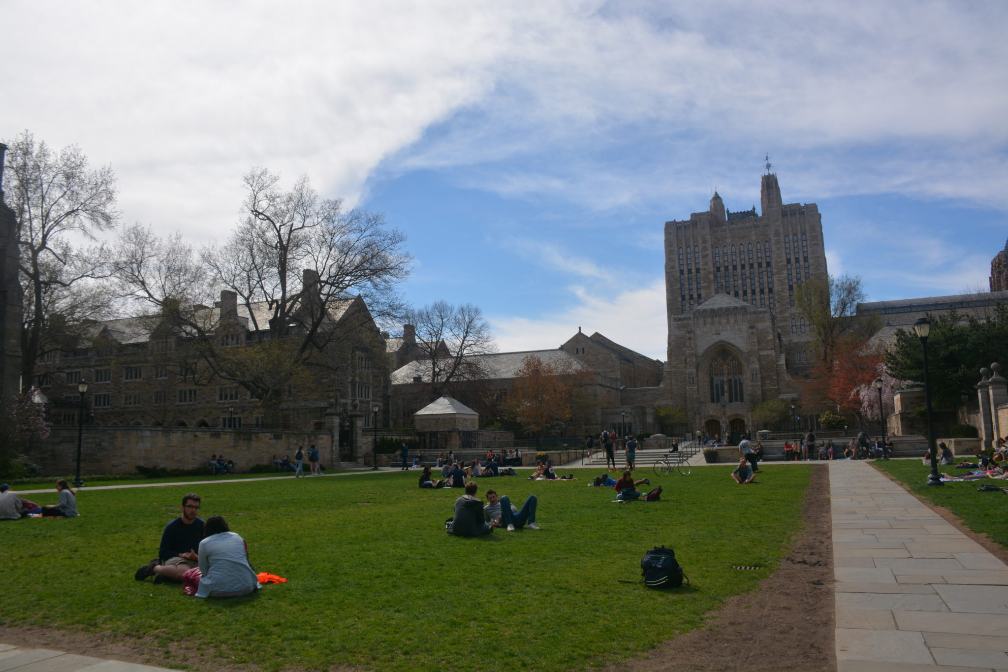 Student-led groups advocate for sustainability - Yale Daily News