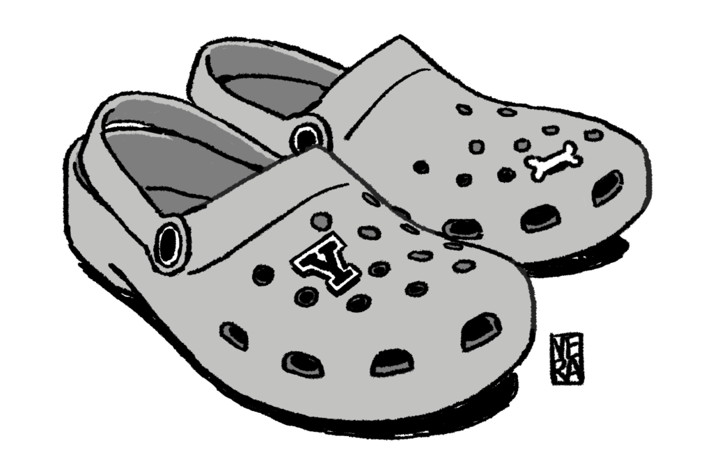 bass crocs