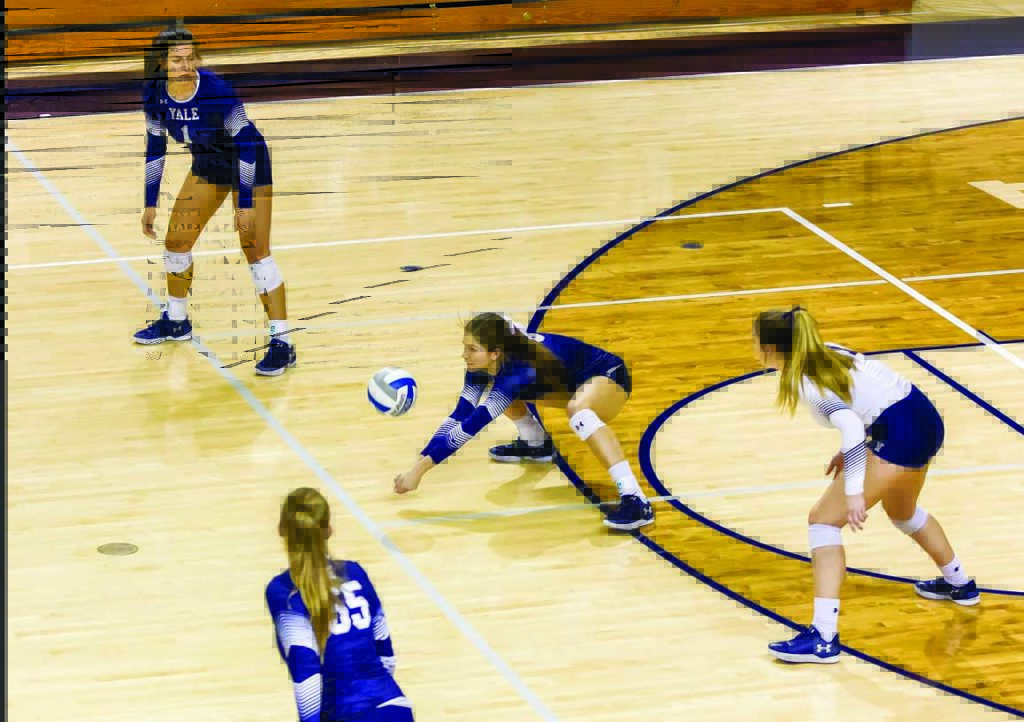 Yale volleyball wins Ivy League Championship - Yale Daily News