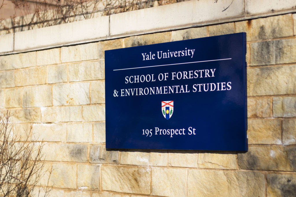 Yale hosts free online courses on intersection of religion and ecology