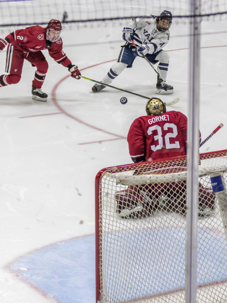 MEN'S HOCKEY: Elis fall to top Ivy foes - Yale Daily News