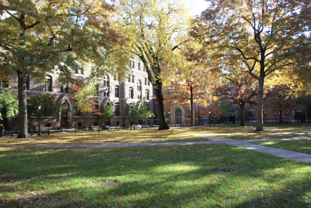 University celebrates virtual commencement - Yale Daily News