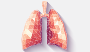 A diagram of lungs