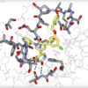 A diagram of a new drug to treat COVID-19