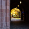 The inside of the Vanderbilt Arch looking out to fall trees on Old Campus.