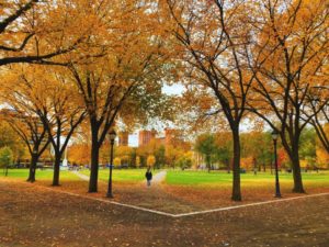 The New Haven Green looking southeast during a fall day.