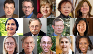 A collage of all 14 professors named to the Academy.