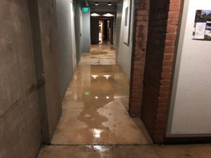 Standing water in a basement hallway in Jonathan Edwards.