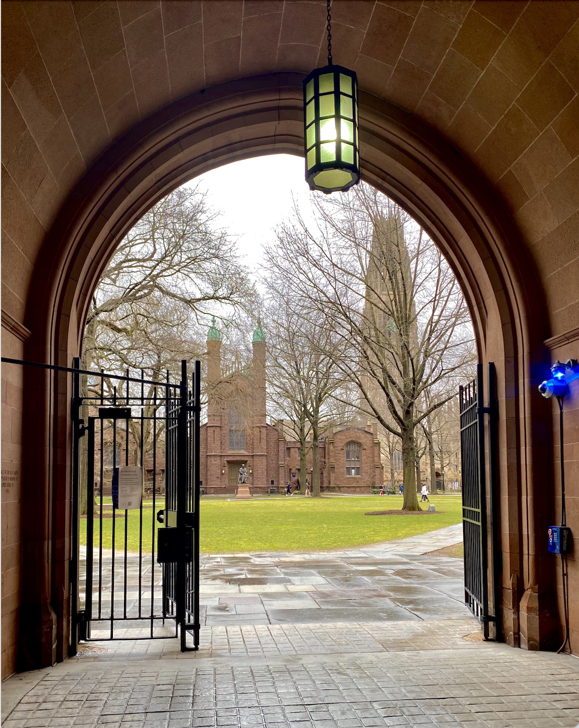 For the first time during pandemic, Old Campus opens gates to New Haven -  Yale Daily News