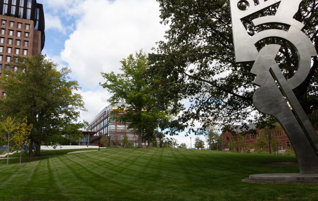 undergraduate research at yale