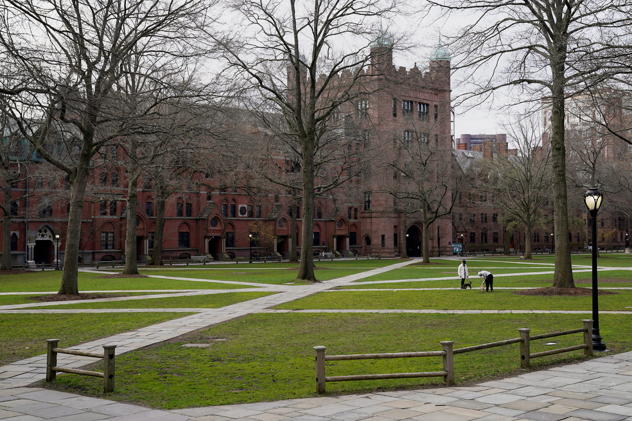 The University's “revolving door”: a look at Yale's lobbying