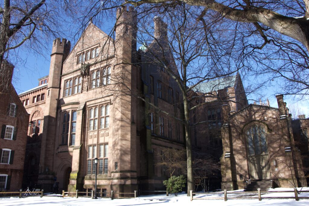 Rejected From an Extracurricular at Yale? Join the Club. - The