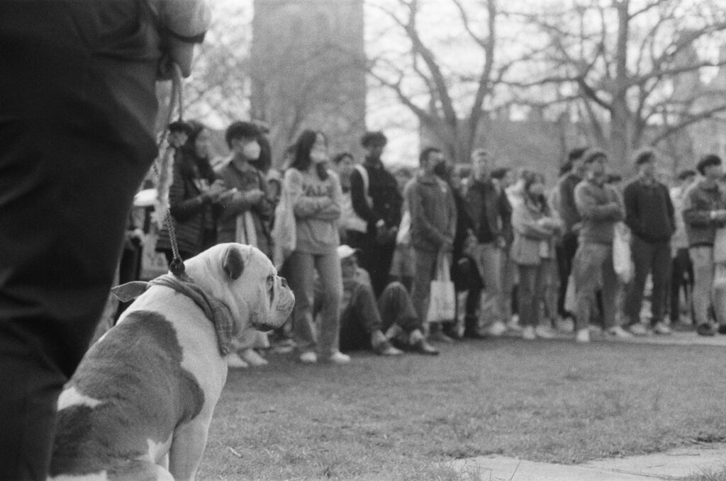 Admissions office concludes largestever Bulldog Days Yale Daily News