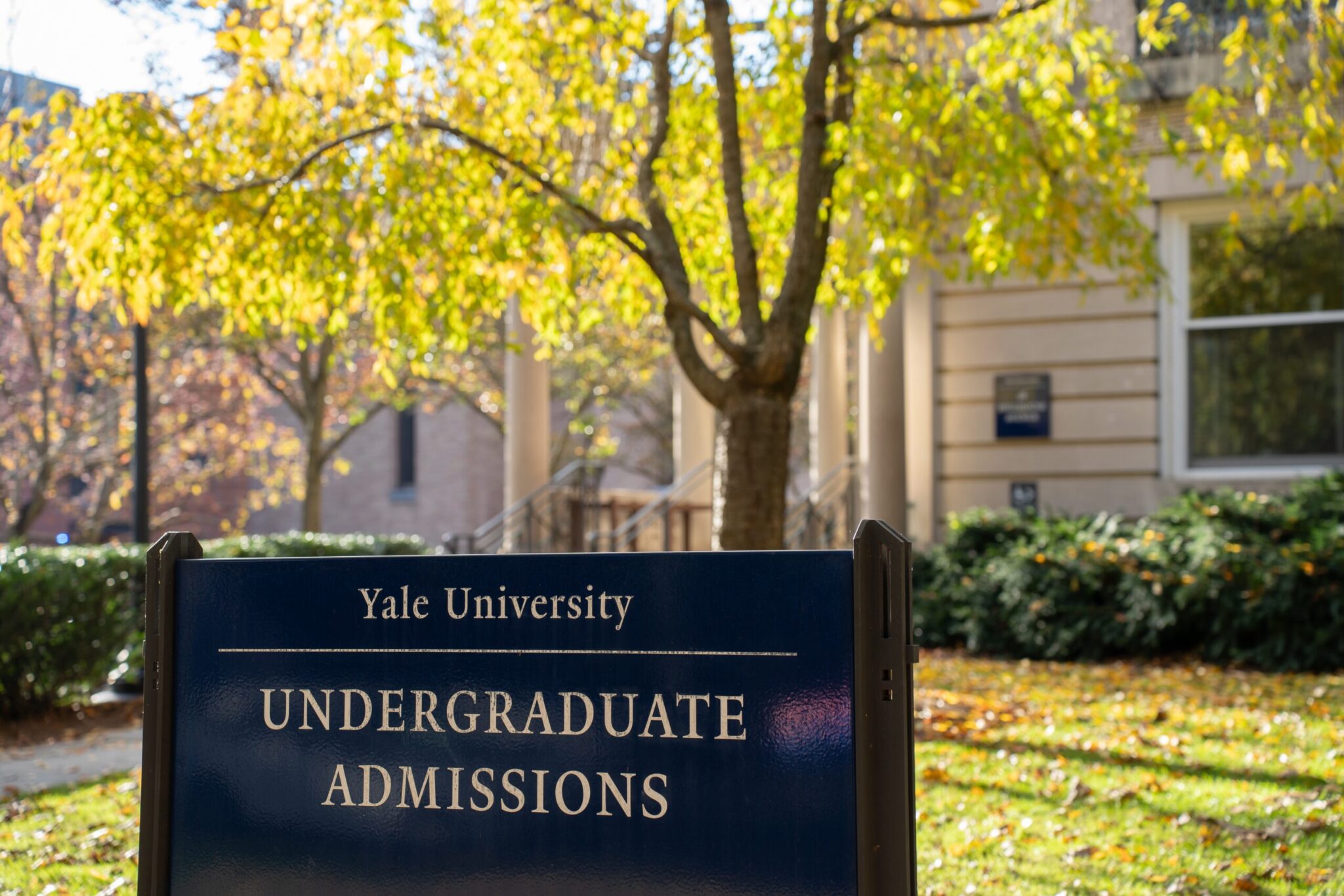 yale college application essay