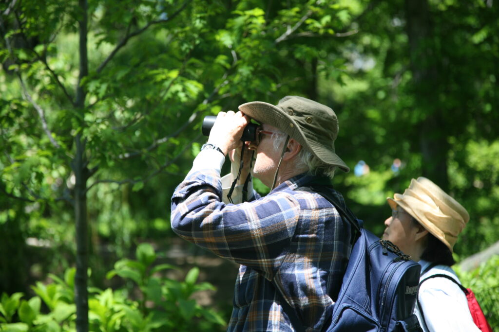 New Haven Bird Club hosts national stationary birdwatching contest